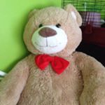 Profile Picture of Brianna Lorene Jones (@just_for_kix_forever_) on Instagram