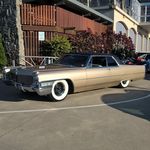 Profile Picture of Nathan Halliday (@nate_085) on Instagram