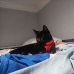 Profile Picture of Andrew carillo (@juice_wrld_fan_999_) on Instagram