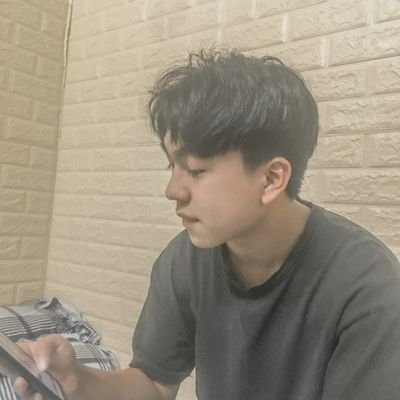 Profile Picture of Tu Phan (@tuphan04538799) on Twitter