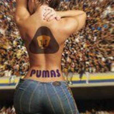 Profile Picture of Jose Zamarripa (@JoseElpuma28) on Twitter