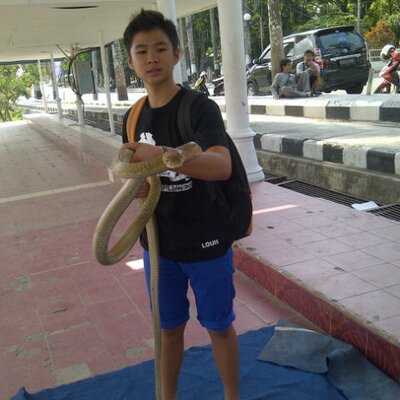 Profile Picture of Louis Albert (@@LouisAlbert44) on Twitter
