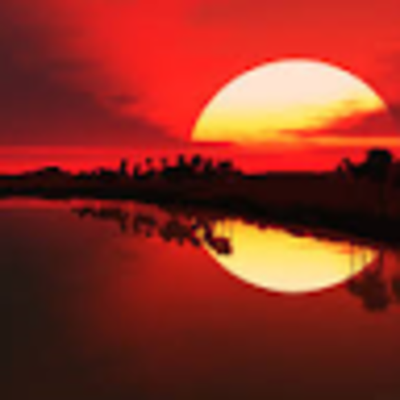 Profile Picture of Amanda Walburn (@awalburn22) on Poshmark