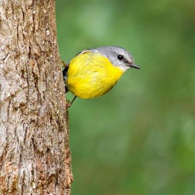 Profile Picture of Aisha Wright (@ins4uran6cen) on Twitter