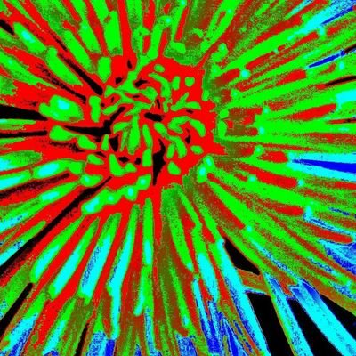 Profile Picture of Chris Biggar (@Biggar92C) on Twitter