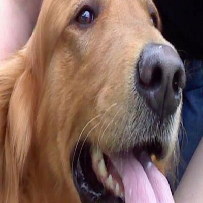 Profile Picture of Jordan Minter (@MyDawgJake) on Twitter