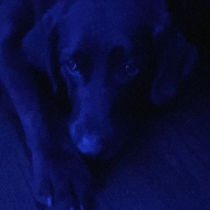 Profile Picture of Mikey_a (@michael_a_19) on Tiktok