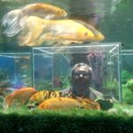 Profile Picture of Amlan Dasgupta (@aamlandasguptaa) on Instagram