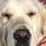 Profile Picture of Marilyn Neil (@mummy_marilyn) on Instagram