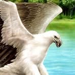 Profile Picture of Emmanuel Thompson (@Emmanuel-Thompson) on Facebook