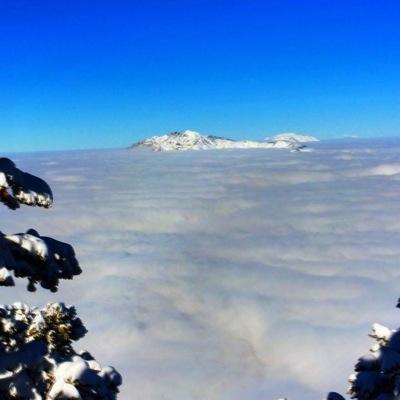 Profile Picture of Caroline Heap (@heap_caroline) on Twitter