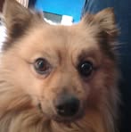 Profile Picture of Giuseppe Leogrande (@Giuseppe-Leogrande) on Facebook