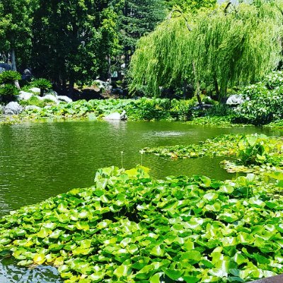 Profile Picture of Catherine Knox (@Catheri69124999) on Twitter