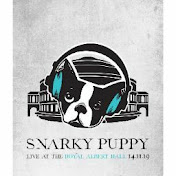 Profile Picture of Doug Welch (@dougwelch8098) on Youtube