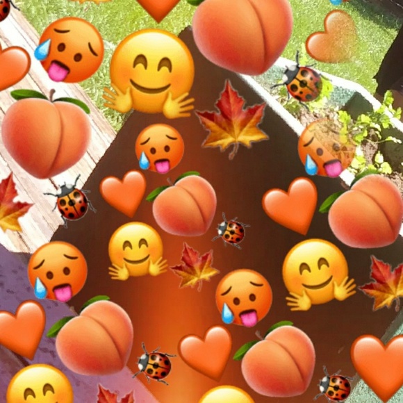 Yajaira Reyes - Poshmark Profile Picture of Yajaira Reyes (@reyes_x) on Poshmark