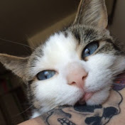 Profile Picture of Sherry Leinweber (@sherryleinweber273) on Youtube