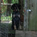 Profile Picture of hunter (@hunterfulton1) on Instagram