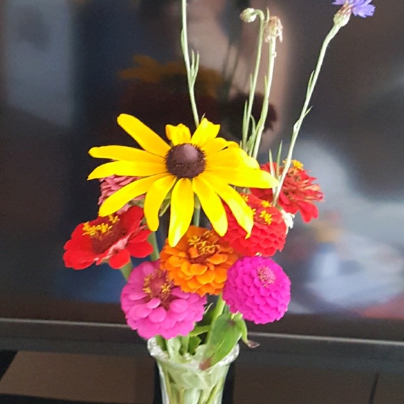 Yvonne Murach - Poshmark Profile Picture of Yvonne Murach (@ymurach) on Poshmark