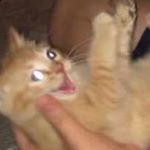 Profile Picture of Clementine Dennis Matson (@clementinedennismatson) on Instagram