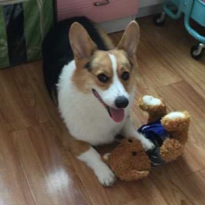 Profile Picture of WenXu (@WenXu07614730) on Twitter