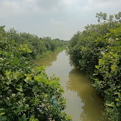 Profile Picture of Pin Gao Tv (@ChitamTran-dv7wl) on Youtube