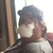 Profile Picture of Craig Nuckles (@craignuckles) on Pinterest