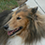 Profile Picture of oldriverjordans (@oldriverjordans) on Flickr