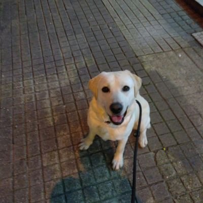 Profile Picture of João Miranda (@John_Heisenberg) on Twitter