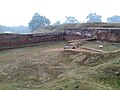 Profile Picture of Dinhata Ion Wikipedia