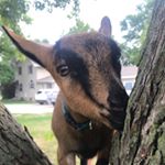 Profile Picture of Chris Slaton (@_christina_marie_71) on Instagram