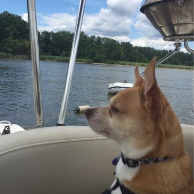 Profile Picture of Randy Shull (@ShullRandy) on Twitter