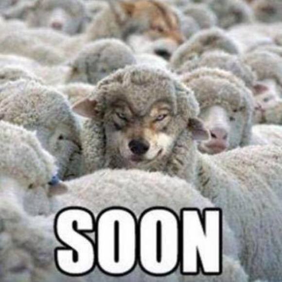 Profile Picture of Michael Finocchiaro (@mfinocchiaro) on Poshmark