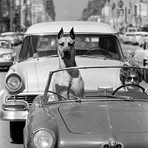 Profile Picture of James Gardener (@James-Gardener) on Facebook