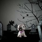 Profile Picture of Joseph McMahan (@josephmcmahans) on Instagram