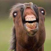 Profile Picture of Thomas Brady (@thomasbrady5927) on Youtube