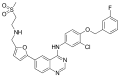 Profile Picture of Lapatinibon Wikipedia