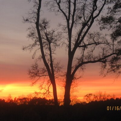 Profile Picture of Nancy Haskell (@NancyHaskell1) on Twitter