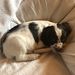 Profile Picture of James Minick (@jamesminick0138) on Pinterest