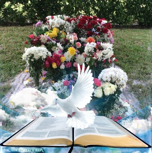 Profile Picture of Abraham Andres (@abrahamandres25) on Poshmark