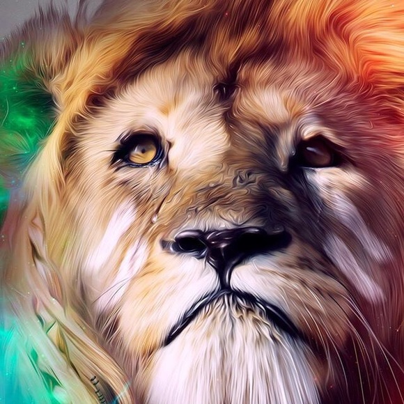 Profile Picture of Shaylynn Chapman (@shaylynn43) on Poshmark