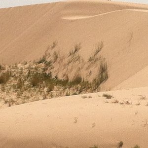 Profile Picture of Raymond Veazey (@gamma1111) on Myspace