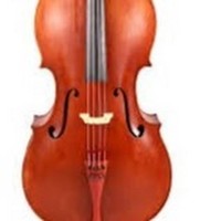 Profile Picture of Brandon Yu (@brandon-yu-41) on Quora