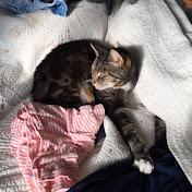 Profile Picture of Cleopatra HARRIS (@cleopatraharris2535) on Youtube