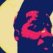 Profile Picture of Marcus Campbell (@devoncassells777) on Pinterest