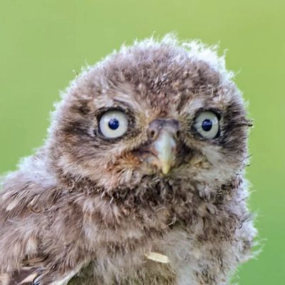 Profile Picture of Albert Voss (@TechnoMax7) on Twitter