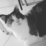 Profile Picture of alice gregori (@gregori843) on Instagram