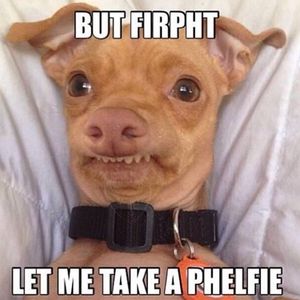 Profile Picture of Caroline Boyd (@gingerthepuppy101) on Myspace