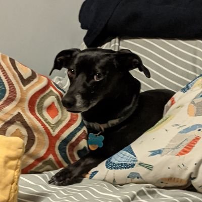 Profile Picture of Jason Snellings (@jasnellings) on Twitter