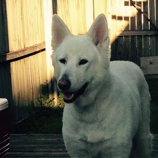 Profile Picture of Stephen Varnadoe (@varnadoe) on Facebook