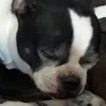 Profile Picture of Mario Isaac Malave (@mario_isaac_malave) on Instagram